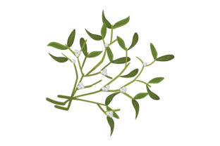 Mistletoe Sprig: Christmas Crafts Design Asset Review